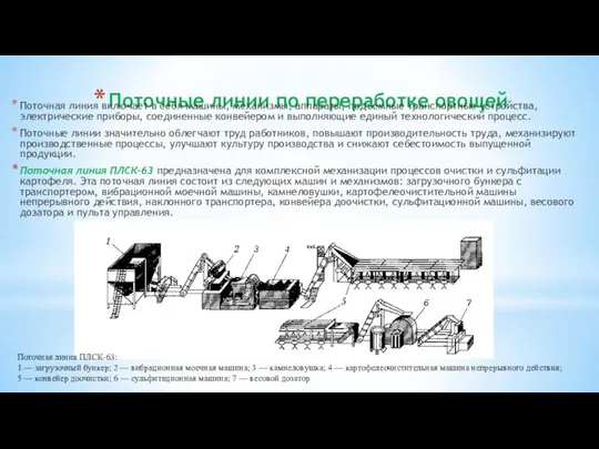 Поточные линии по переработке овощей Поточная линия включает в себя машины,