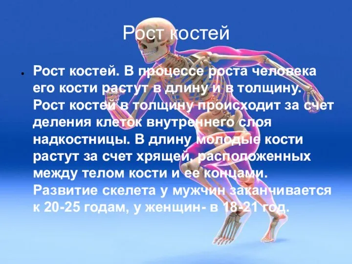 Рост костей Рост костей. В процессе роста человека его кости растут