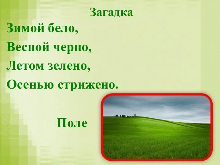 Загадка Зимой бело, Весной черно, Летом зелено, Осенью стрижено. Поле