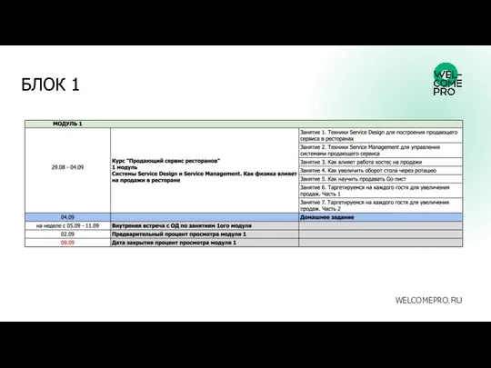 БЛОК 1 WELCOMEPRO.RU
