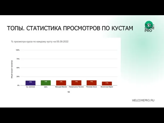 ТОПЫ. СТАТИСТИКА ПРОСМОТРОВ ПО КУСТАМ WELCOMEPRO.RU