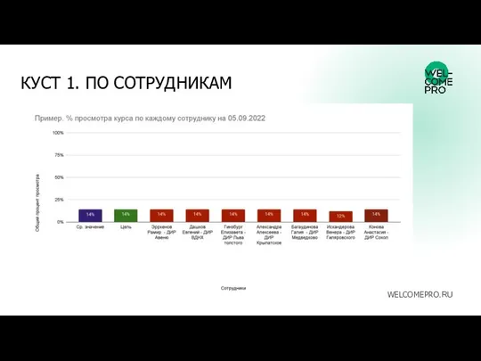 КУСТ 1. ПО СОТРУДНИКАМ WELCOMEPRO.RU