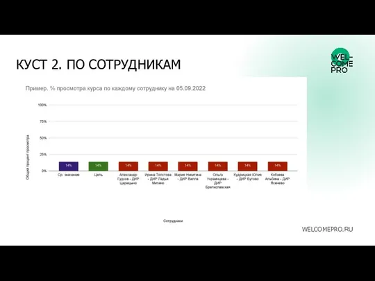 КУСТ 2. ПО СОТРУДНИКАМ WELCOMEPRO.RU