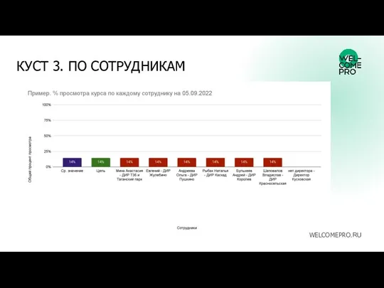 КУСТ 3. ПО СОТРУДНИКАМ WELCOMEPRO.RU