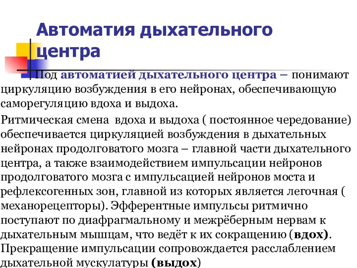 Автоматия дыхательного центра Под автоматией дыхательного центра – понимают циркуляцию возбуждения