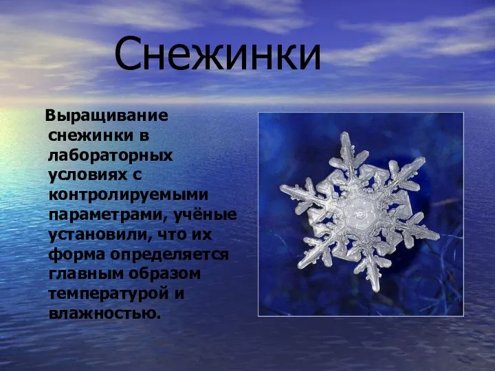 Снежинки Выращивание снежинки в лабораторных условиях с контролируемыми параметрами, учёные уcтановили,