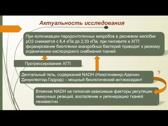 Актуальность исследования При колонизации пародонтогенных микробов в десневом желобке рО2 снижается