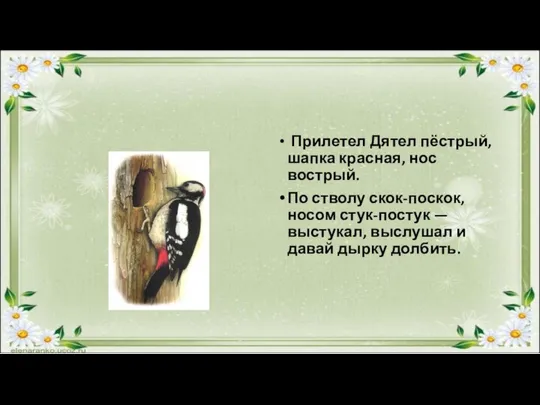 Прилетел Дятел пёстрый, шапка красная, нос вострый. По стволу скок-поскок, носом