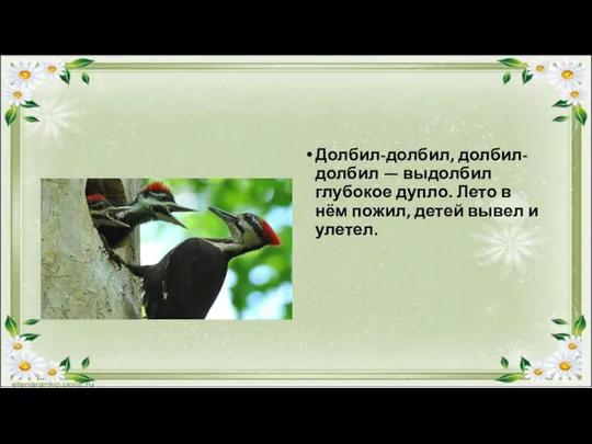 Долбил-долбил, долбил-долбил — выдолбил глубокое дупло. Лето в нём пожил, детей вывел и улетел.