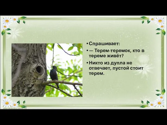 Спрашивает: — Терем-теремок, кто в тереме живёт? Никто из дупла не отвечает, пустой стоит терем.