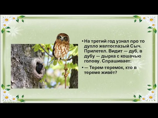 На третий год узнал про то дупло желтоглазый Сыч. Прилетел. Видит