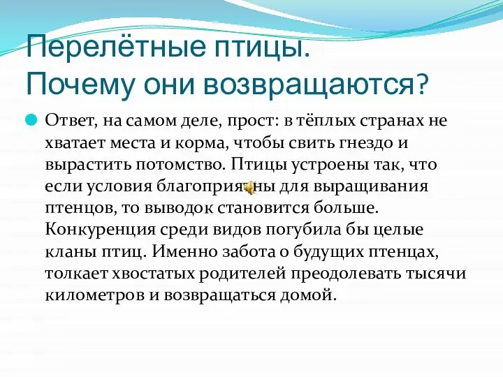 Перелётные птицы. Почему они возвращаются? Ответ, на самом деле, прост: в