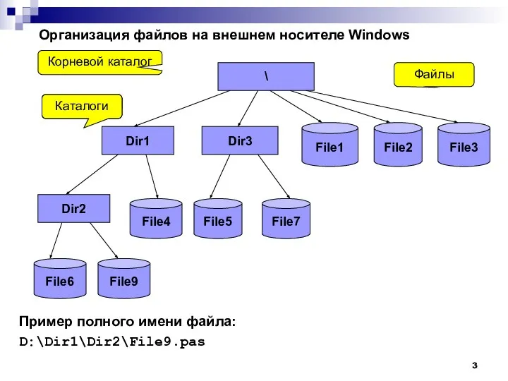 Организация файлов на внешнем носителе Windows Пример полного имени файла: D:\Dir1\Dir2\File9.pas