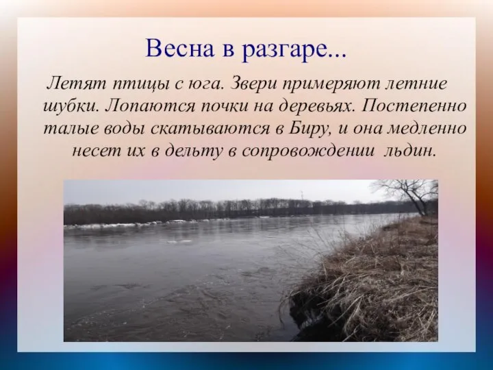 Весна в разгаре... Летят птицы с юга. Звери примеряют летние шубки.