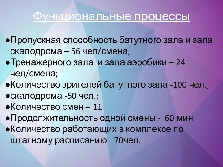 Функциональные процессы Пропускная способность батутного зала и зала скалодрома – 56