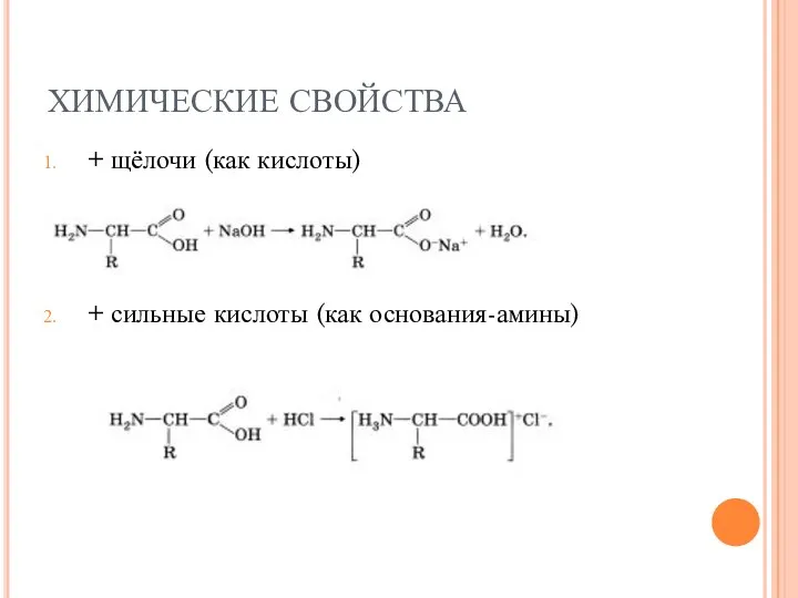 ХИМИЧЕСКИЕ СВОЙСТВА + щёлочи (как кислоты) + сильные кислоты (как основания-амины)