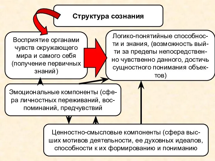 Структура сознания Восприятие органами чувств окружающего мира и самого себя (получение