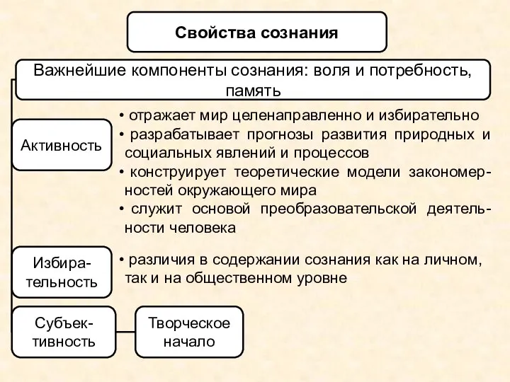 Свойства сознания Важнейшие компоненты сознания: воля и потребность, память Активность различия