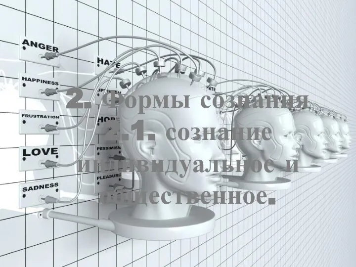 2. Формы сознания 2.1. сознание индивидуальное и общественное.