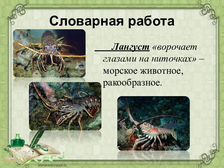 Словарная работа Лангуст «ворочает глазами на ниточках» – морское животное, ракообразное.