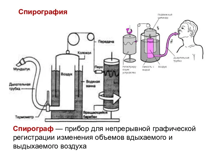 Спирограф — прибор для непрерывной графической регистрации изменения объемов вдыхаемого и выдыхаемого воздуха Спирография