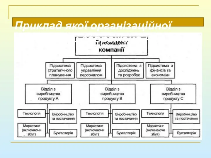 Приклад якої організаційної структури зображено на рисунку?