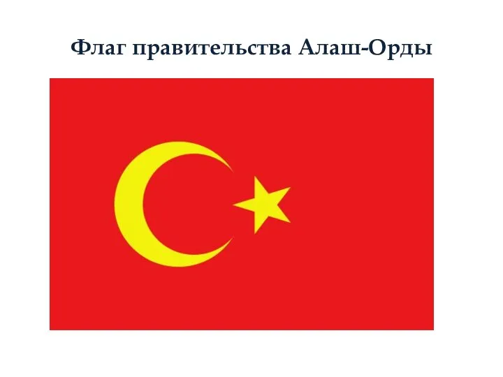 Флаг правительства Алаш-Орды