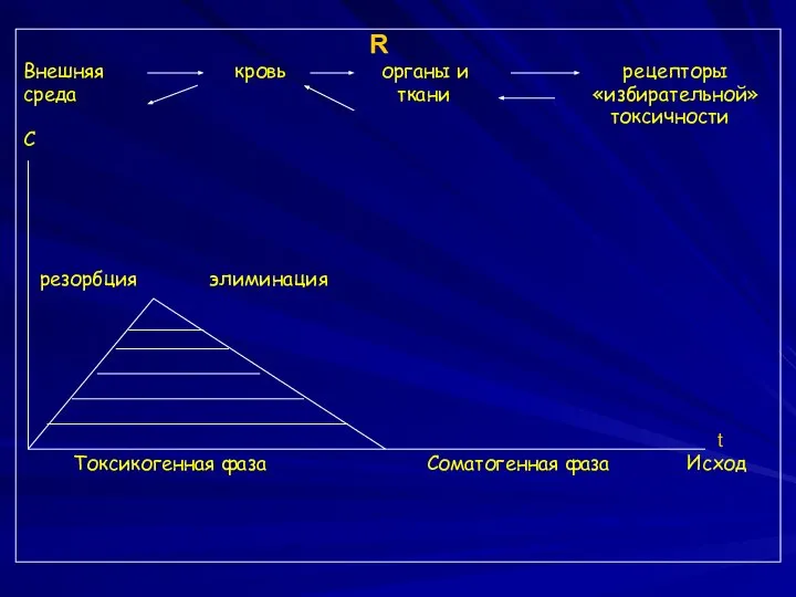 R Внешняя кровь органы и рецепторы среда ткани «избирательной» токсичности C
