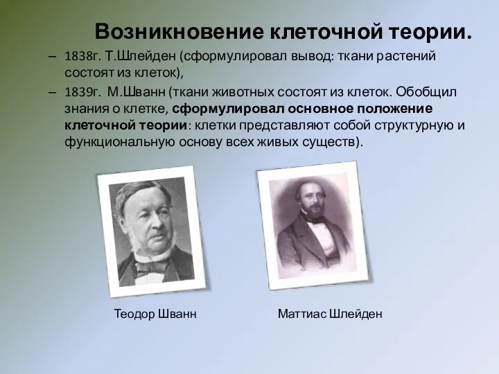 Возникновение клеточной теории. 1838г. Т.Шлейден (сформулировал вывод: ткани растений состоят из