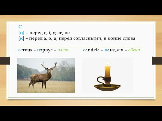 C [ц] – перед e, i, y; ae, oe [к] –