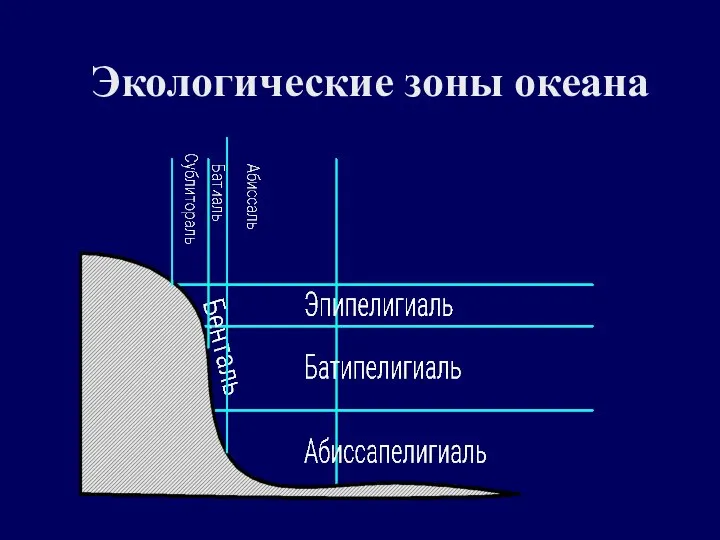 Экологические зоны океана