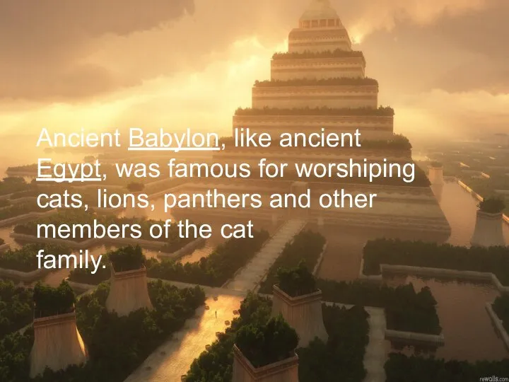Ancient Babylon, like ancient Egypt, was famous for worshiping cats, lions,