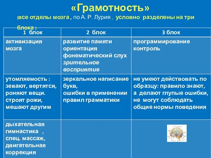 «Грамотность» (все отделы мозга , по А. Р. Лурия , условно разделены на три блока )