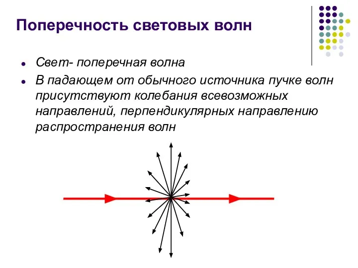 Поперечность световых волн Свет- поперечная волна В падающем от обычного источника