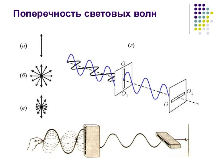 Поперечность световых волн