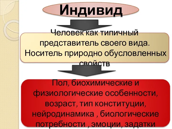 Индивид Человек как типичный представитель своего вида. Носитель природно обусловленных свойств