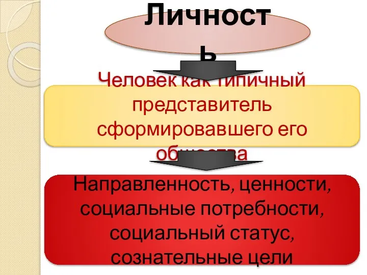 Личность Человек как типичный представитель сформировавшего его общества Направленность, ценности, социальные потребности, социальный статус, сознательные цели