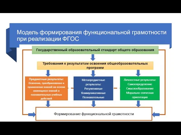 Модель формирования функциональной грамотности при реализации ФГОС