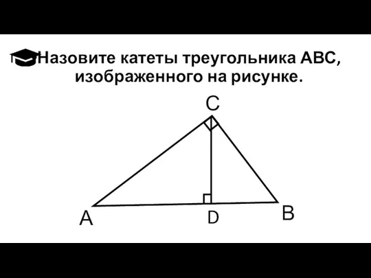 Назовите катеты треугольника АВС, изображенного на рисунке. А В С D