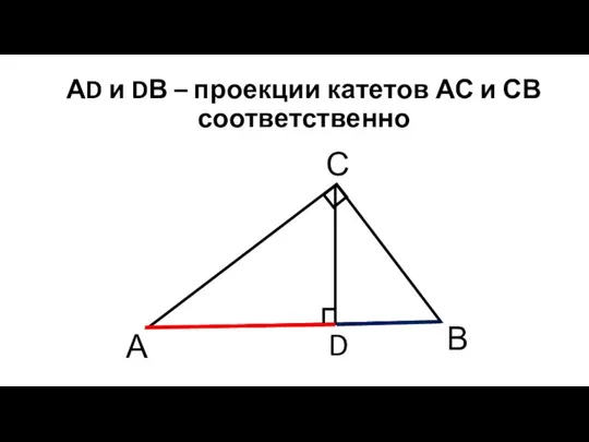 АD и DВ – проекции катетов АС и СВ соответственно А В С D