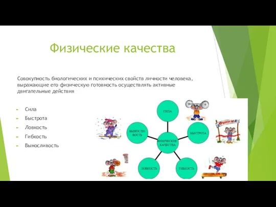 Физические качества Совокупность биологических и психических свойств личности человека, выражающие его