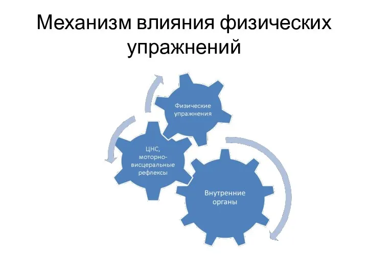 Механизм влияния физических упражнений