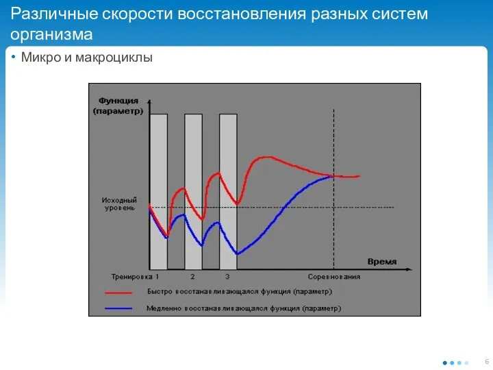 Различные скорости восстановления разных систем организма Микро и макроциклы