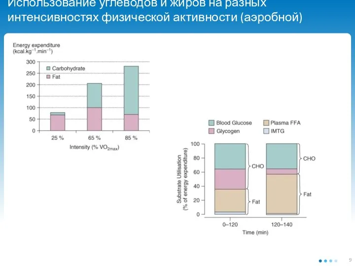 Использование углеводов и жиров на разных интенсивностях физической активности (аэробной)