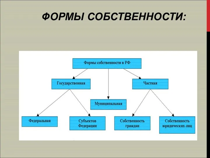 ФОРМЫ СОБСТВЕННОСТИ: