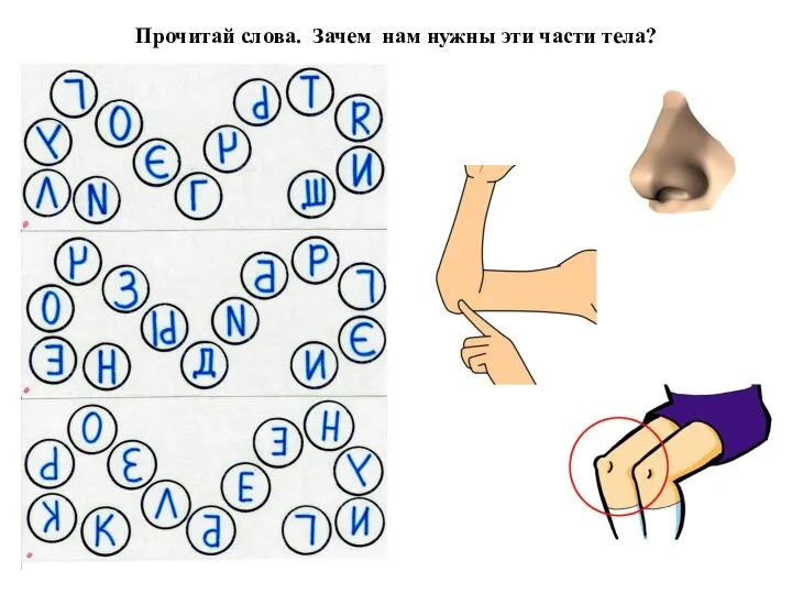 Прочитай слова. Зачем нам нужны эти части тела?