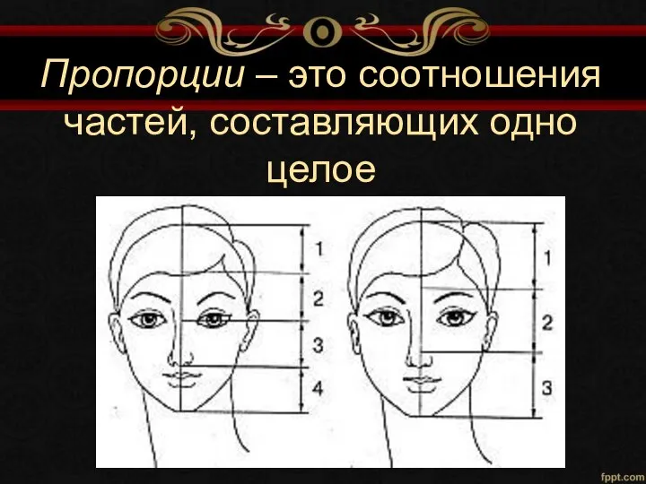 Пропорции – это соотношения частей, составляющих одно целое