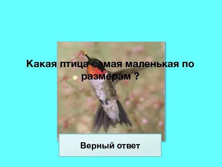 Колибри Какая птица самая маленькая по размерам ? Верный ответ