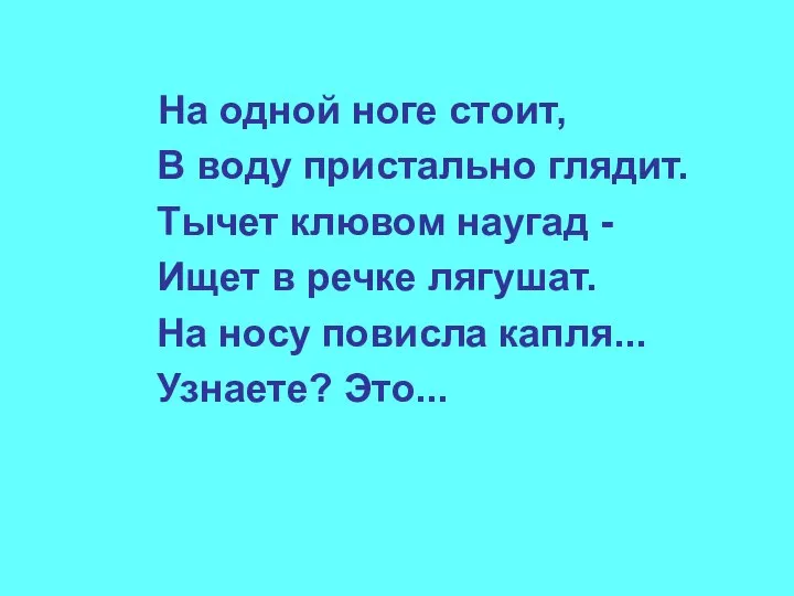 На одной ноге стоит, В воду пристально глядит. Тычет клювом наугад