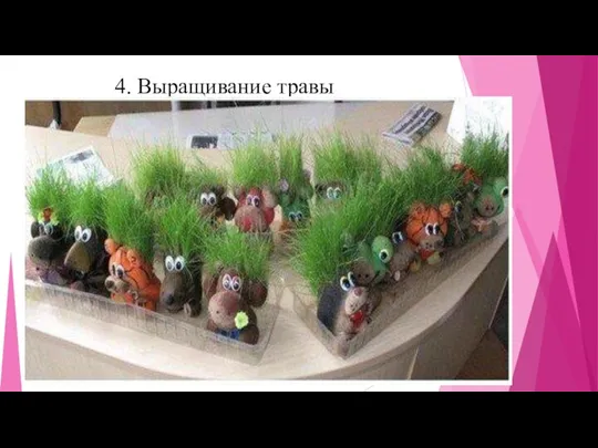 4. Выращивание травы